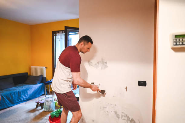 Best Mold Damage Repair  in Crawfordsville, IN