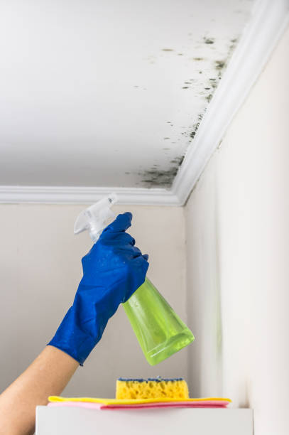 Crawl Space Mold Removal in Crawfordsville, IN